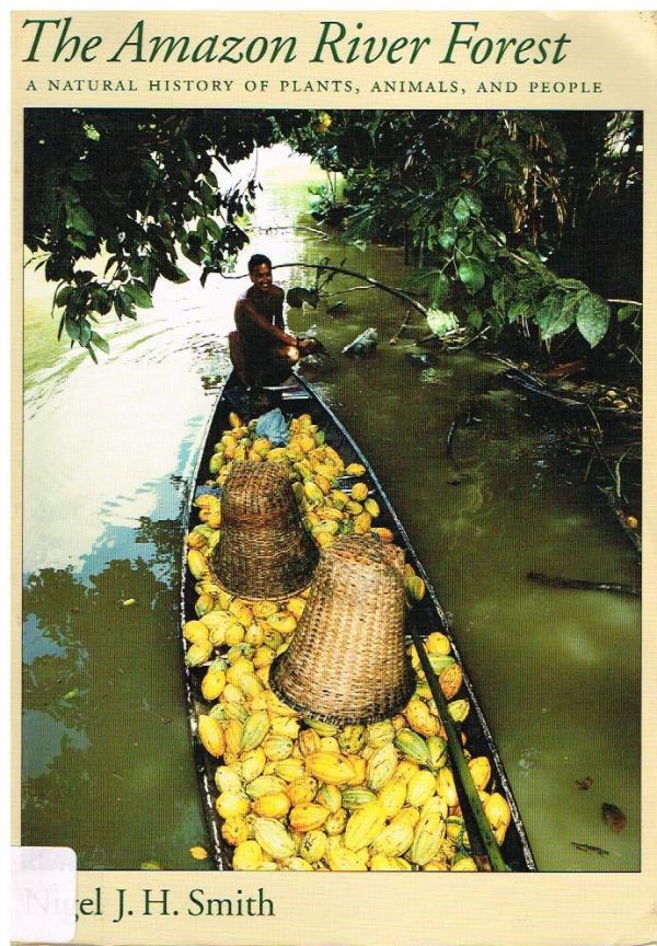 The Amazon River Forest